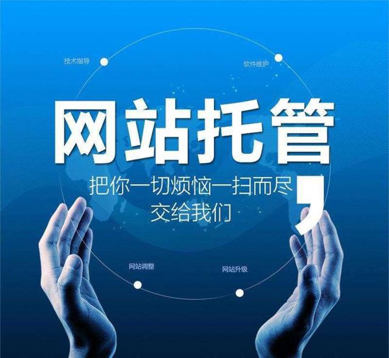 从流量博弈到算法共生：站群系统在搜索引擎生态中的范式重构