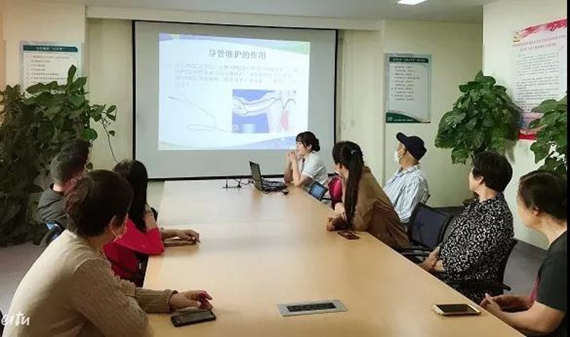 站群系统在企业网站构建中的新趋势